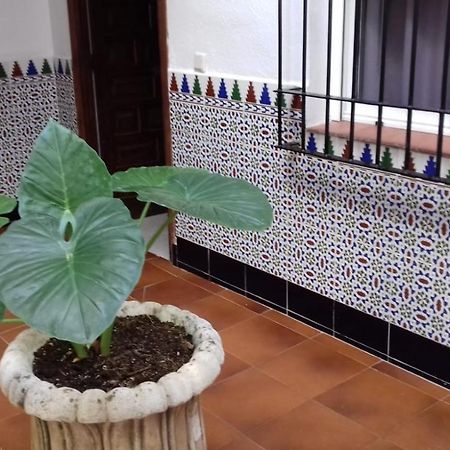 Appartement Patio Pompeyos à Cordoue Extérieur photo