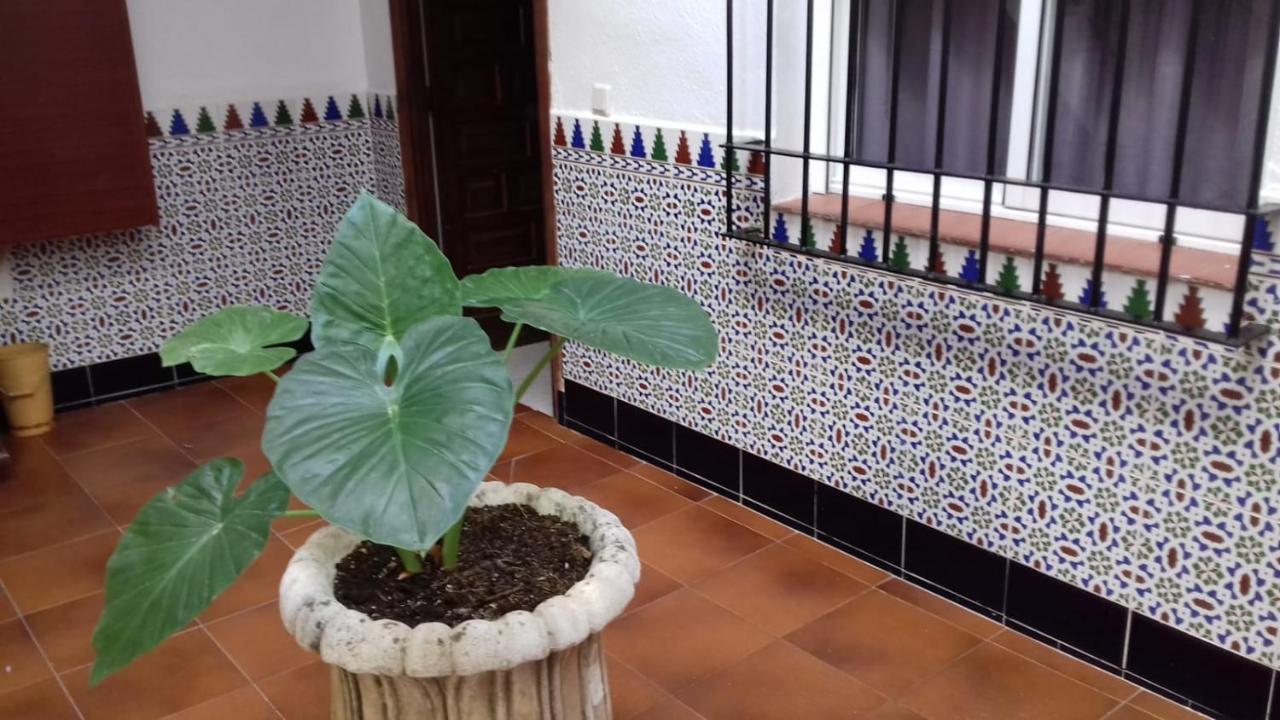Appartement Patio Pompeyos à Cordoue Extérieur photo